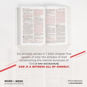 Week 30- Three Witnesses  WordofTheWeek @ The New Plan by David Abubakar