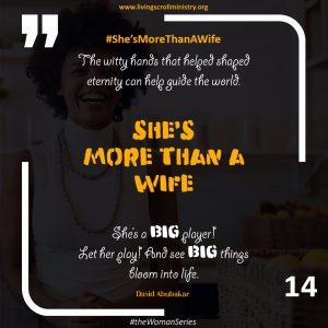 Satisfying Love Day14 of The Woman Series By David Abubakar